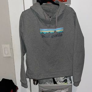 Patagonia hoodie sweatshirt